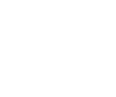 The Tiktok icon